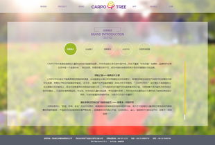 卡波樹童裝 品質與創新并舉，助力外貿銷售新高度